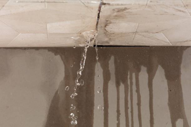 Professional Water Damage Inspection technician working in Grant, FL